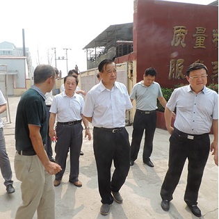 Government visit