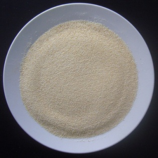 Dehydrated garlic granules -20201117